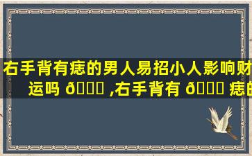 右手背有痣的男人易招小人影响财运吗 🐘 ,右手背有 🐞 痣的人说明了什么